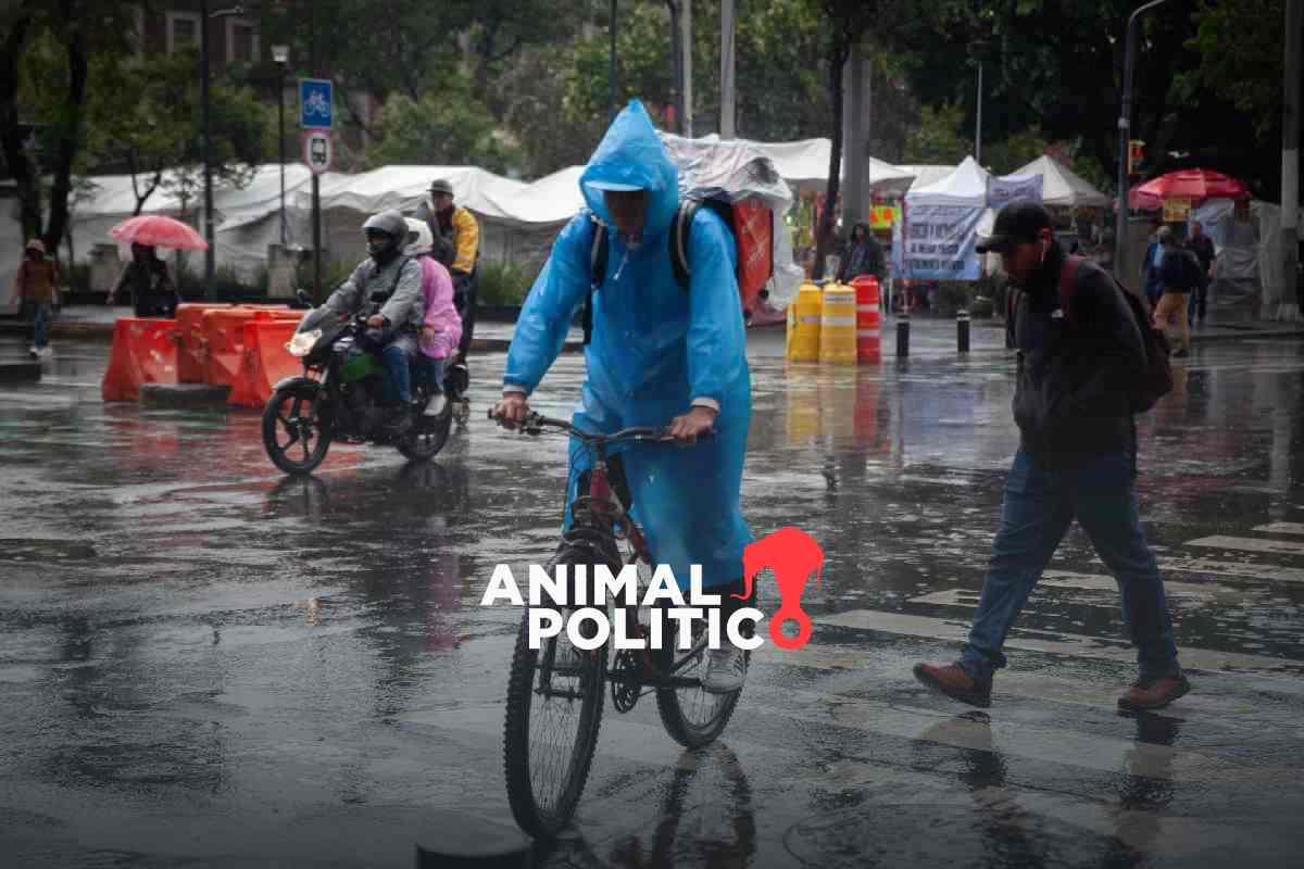 Fuertes lluvias dejan afectaciones en CDMX y Edomex; activan alerta roja en estas alcaldías